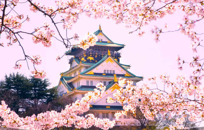 5 Misconceptions About Traveling To Japan